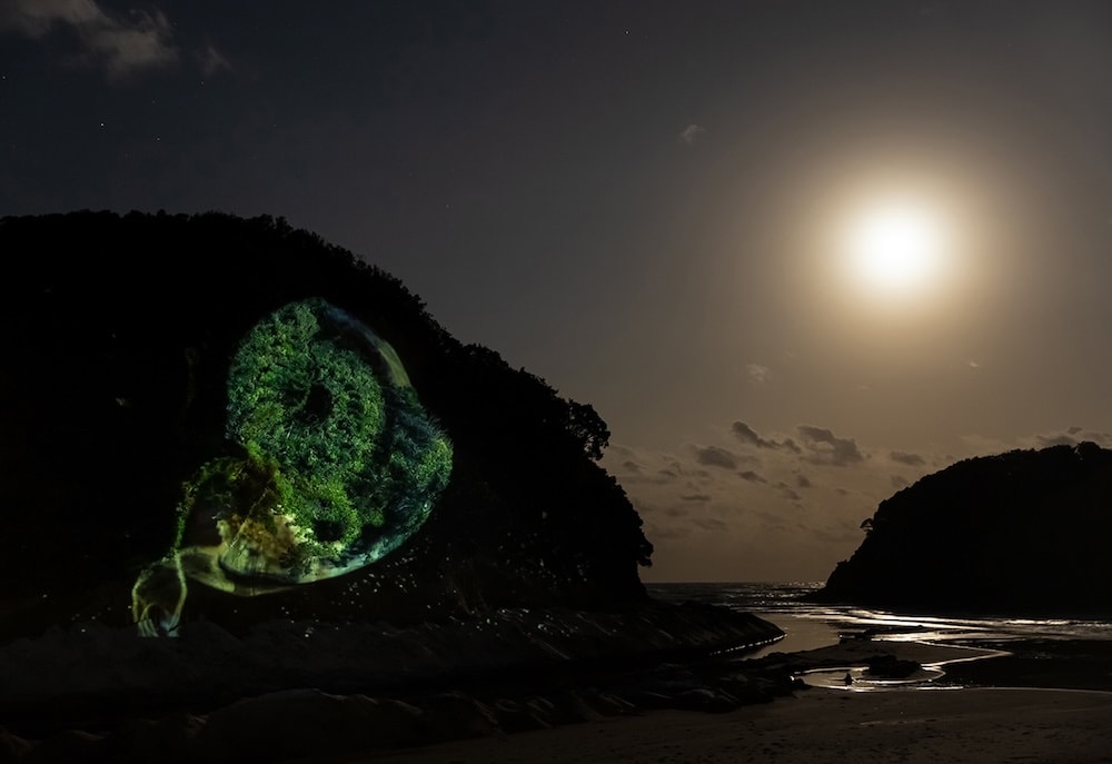 Exhibit: Space Art Tanegashima, 2020
